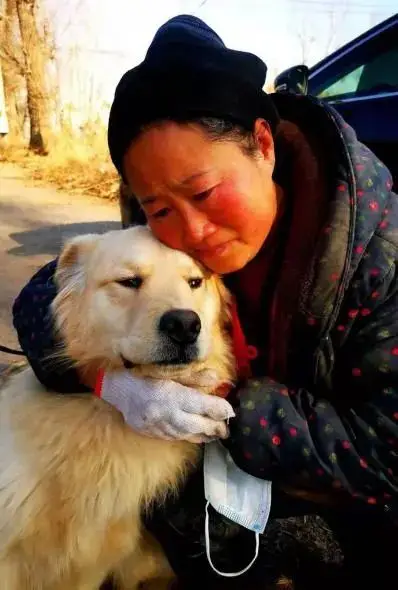 _狗在屋里拉粑粑还抹满屋，主人不仅不舍得骂，还心疼坏了…网友：不对劲_狗在屋里拉粑粑还抹满屋，主人不仅不舍得骂，还心疼坏了…网友：不对劲